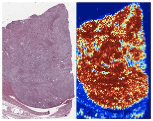 Explainable AI heat map