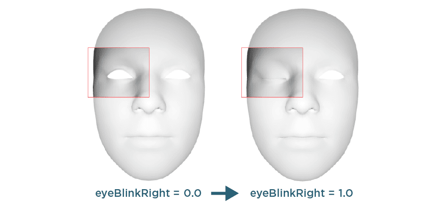 Face Based Augmented Reality